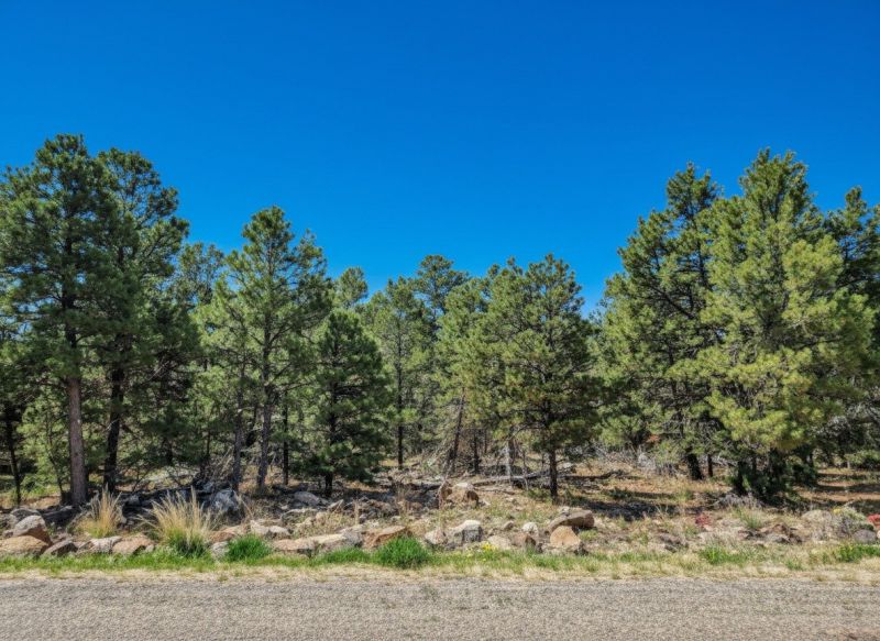 Best Concrete Foundation Repair pros in Austin, MN